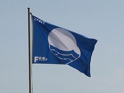 Blue Flag