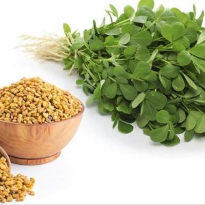 Fenugreek