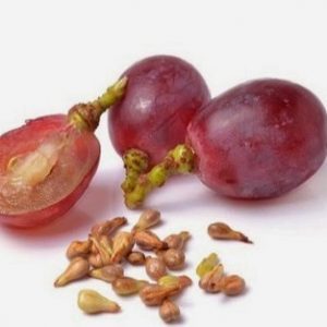 Grape Seed