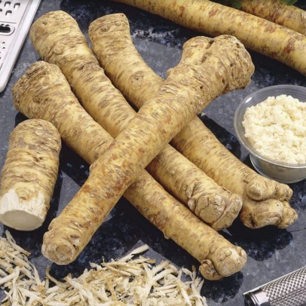 Horseradish