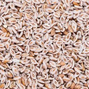 Psyllium Husks