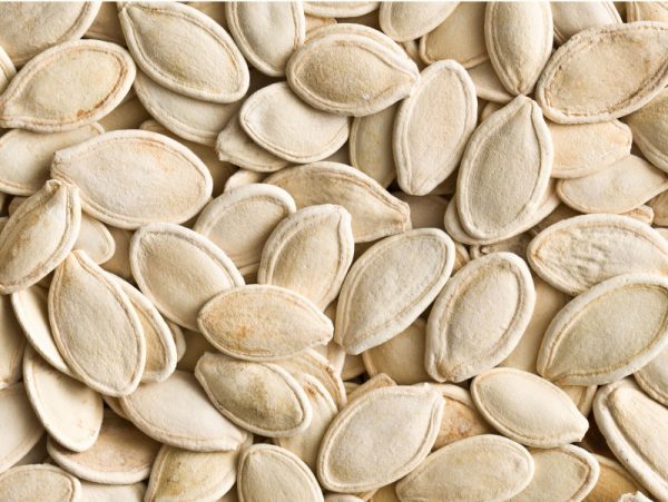 Pumpkin Seed