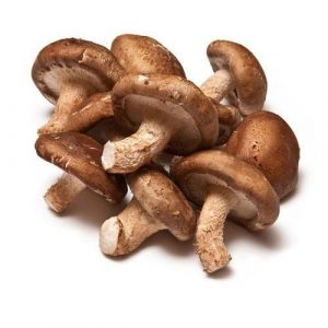 Shitake